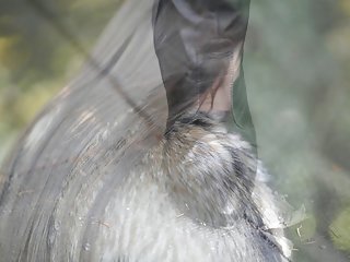 Парень русское аматорское трахает блондинку с брюнеткой в ​​одной постели