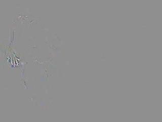 Сука дрочит перед зеркалом и трахается с белым мужчиной домашнее русское секс